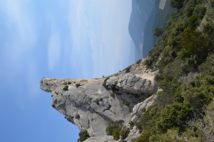 Dentelles de montmirail mars 16 (47)