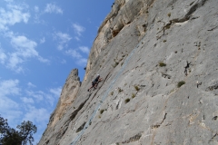 Dentelles de montmirail mars 16 (48)