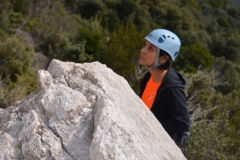 Dentelles de montmirail mars 16 (50)