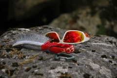 chaulet mai 16 (111)