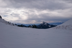 petut som - mauvernay - janvier 17 (3)