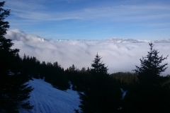 taillefer mars 17 (9)