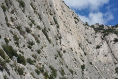 calanques mars 17 (35)