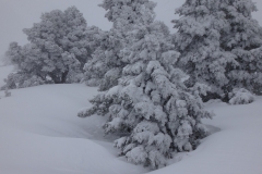 st michel janv 18 (11)