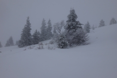 st michel janv 18 (2)