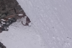 aigleton mars 18 (5)