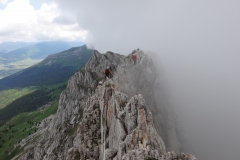 gerbier - juin 2018 (22)