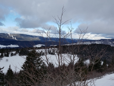 20190127_101741_resized