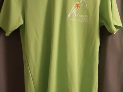 Recto-vert