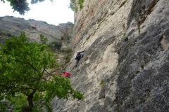 jonte juin 2009 (46)