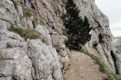 mont aiguille juin 11 (29)