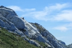 arete gerbier juil 11 (1)