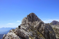 arete gerbier juil 11 (47)