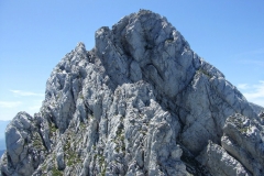 arete gerbier juil 11 (49)