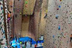 WhatsApp-Image-2026-03-14-at-19.04.37-1