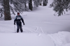 petit som fev 13 (12)