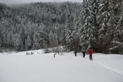 petit som fev 13 (15)