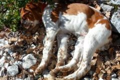 aiguines mars 13 (28)