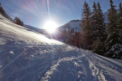 Petit som - janv 14 (10)