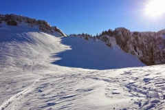 Petit som - janv 14 (11)