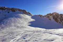 Petit som - janv 14 (14)