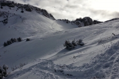 Petit som - janv 14 (18)