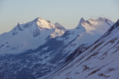 agneaux avril 2014 (16)