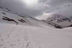 agneaux avril 2014 (2)