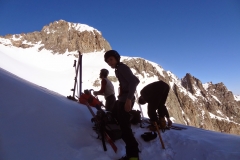 agneaux avril 2014 (20)