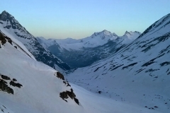 agneaux avril 2014 (42)