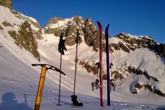 agneaux avril 2014 (49)