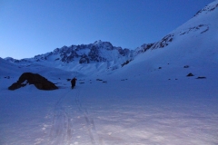 agneaux avril 2014 (8)