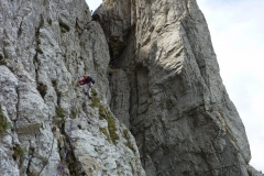 Mont aiguille juin 14 (34)