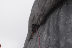 king kong avril 2015 (4)
