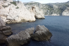 les calanques mars 15 (52)