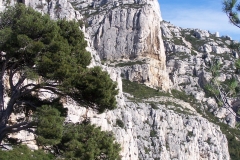 les calanques mars 15 (6)