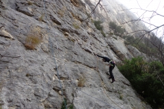 ombleze novembre 2015 (2)