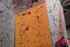 MPB janvier 2016 (19)