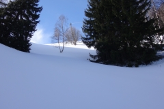 Grand Galbert fevrier 2016 (11)