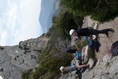 Dentelles de montmirail mars 16 (19)