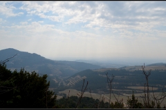 Dentelles de montmirail mars 16 (20)