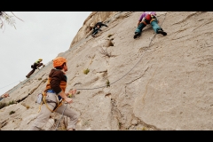 Dentelles de montmirail mars 16 (22)