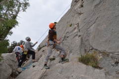 Dentelles de montmirail mars 16 (23)