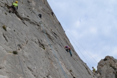 Dentelles de montmirail mars 16 (24)