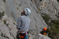 Dentelles de montmirail mars 16 (26)