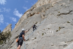 Dentelles de montmirail mars 16 (31)