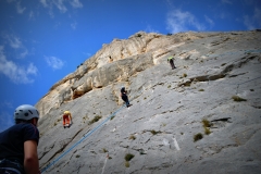 Dentelles de montmirail mars 16 (32)