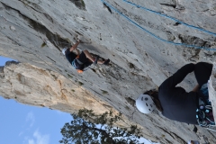 Dentelles de montmirail mars 16 (39)