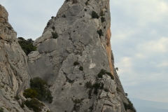 Dentelles de montmirail mars 16 (8)