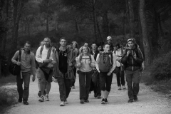 Les calanques avril 16 (36)